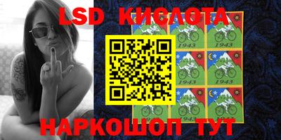 молекула духа Будённовск