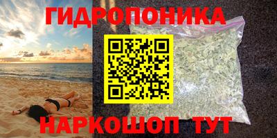 дурь Бийск