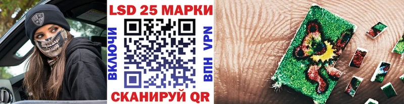 гидра ссылка  Губкин  Марки NBOMe 1500мкг  где купить наркоту 