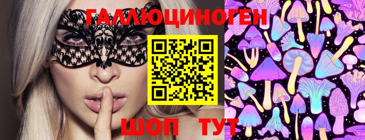 Губкин  Псилоцибиновые грибы Cubensis  Псилоцибиновые грибы Psilocybe  Вход с VPN 