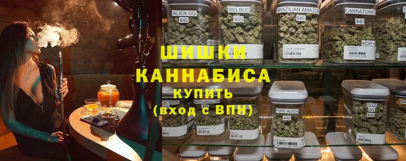 Каннабис план  Губкин 